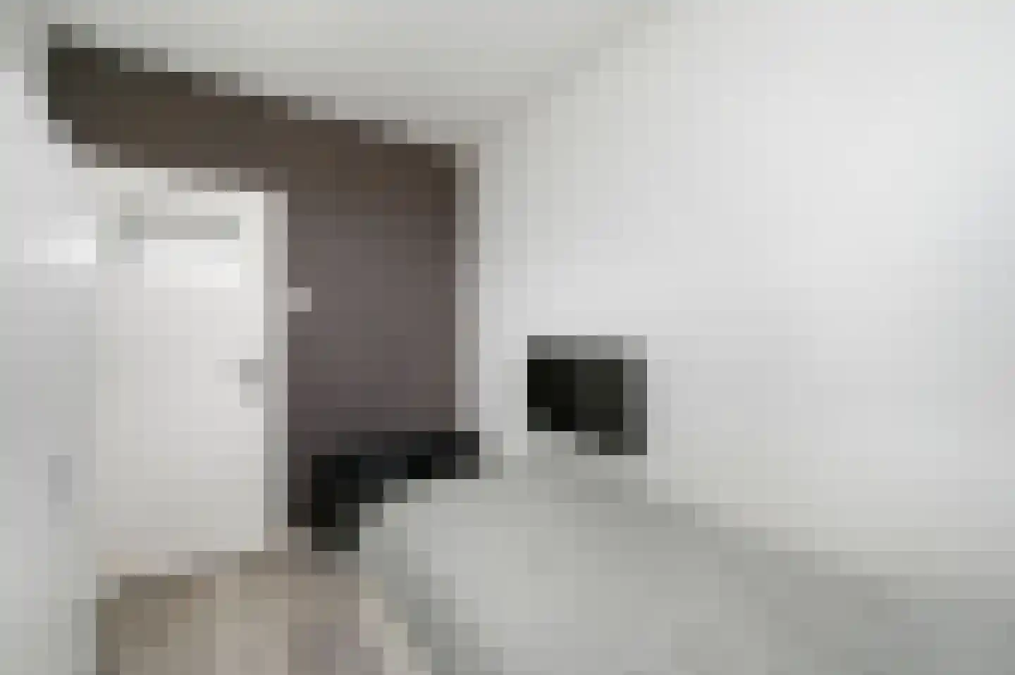 Steenvoordelaan 111 Rijswijk thumbnail 24