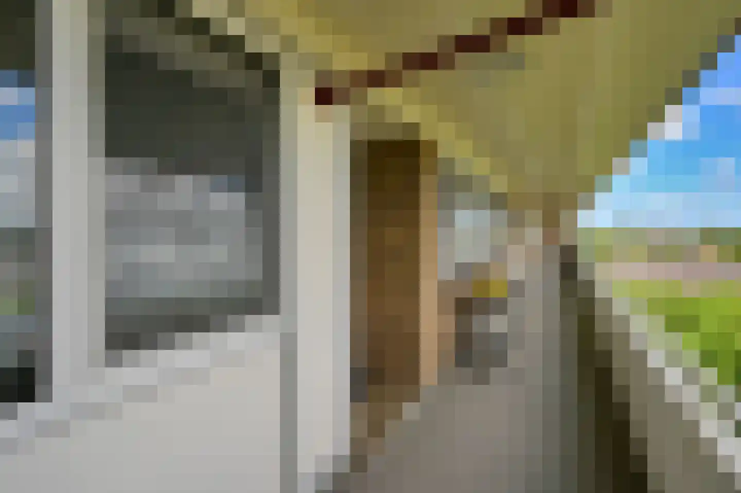 Steenvoordelaan 111 Rijswijk thumbnail 26