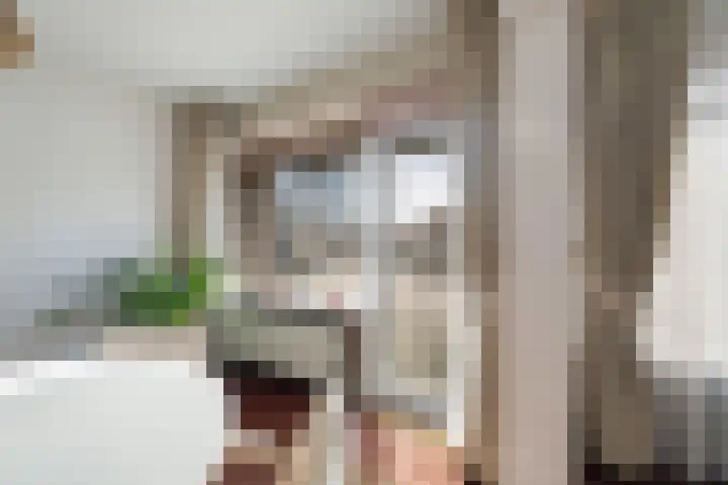 Steenvoordelaan 127 Rijswijk thumbnail 17