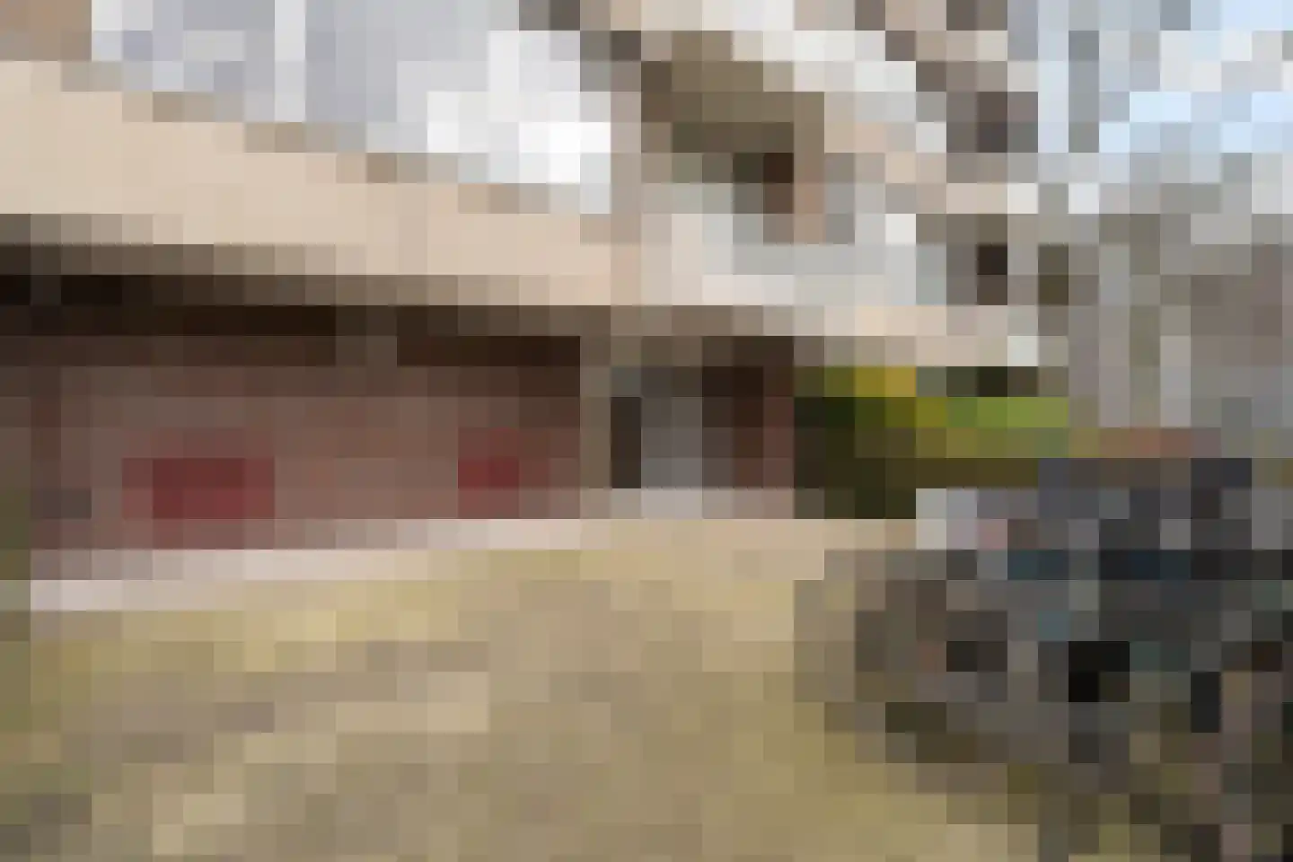 Steenvoordelaan 127 Rijswijk thumbnail 7
