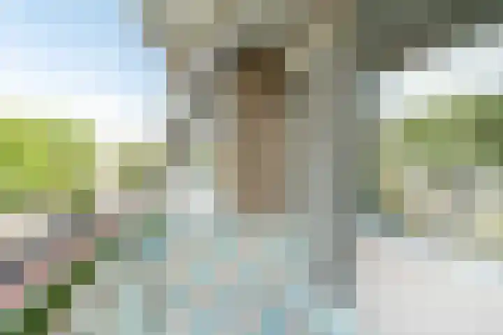 Steenvoordelaan 147 Rijswijk thumbnail 11
