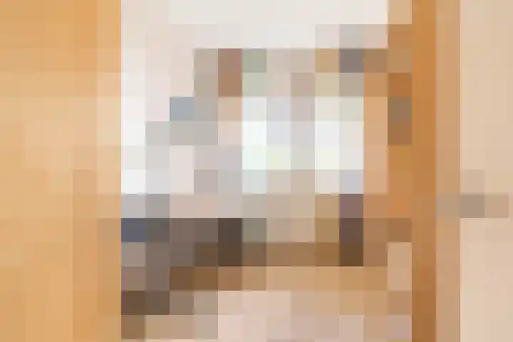 Steenvoordelaan 147 Rijswijk thumbnail 17