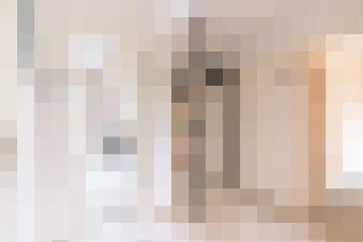Steenvoordelaan 147 Rijswijk thumbnail 21