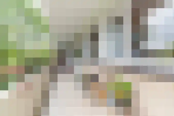 Steenvoordelaan 147 Rijswijk thumbnail 23