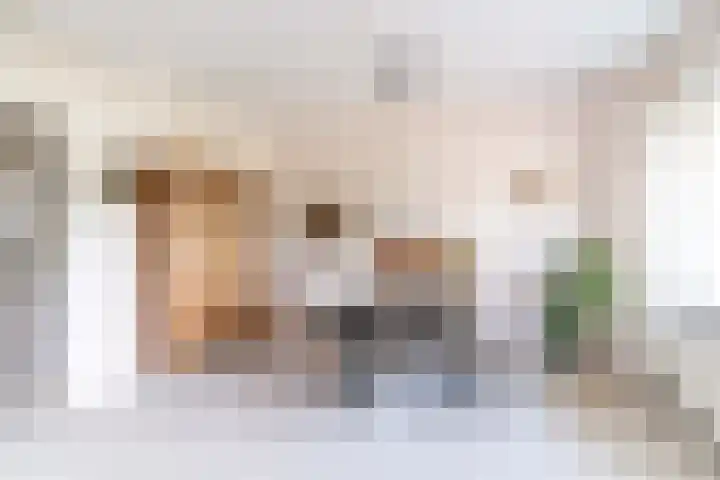 Steenvoordelaan 147 Rijswijk thumbnail 6