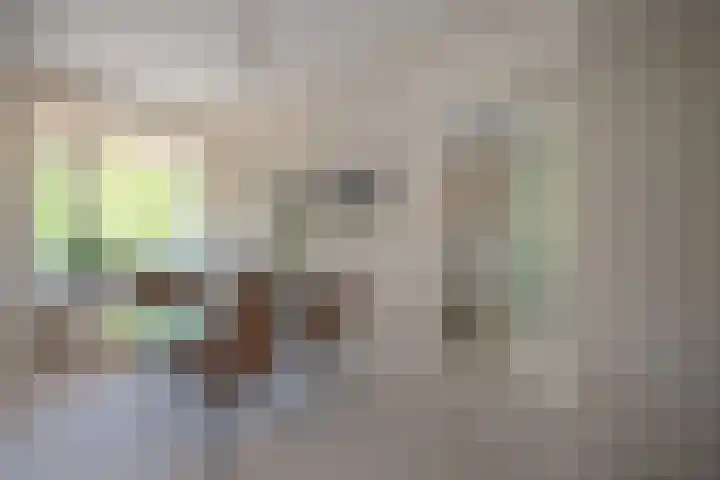 Steenvoordelaan 150 Rijswijk thumbnail 15