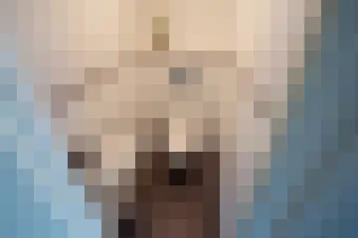 Steenvoordelaan 150 Rijswijk thumbnail 20
