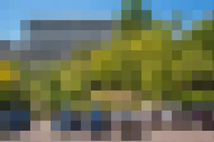 Steenvoordelaan 150 Rijswijk thumbnail 29