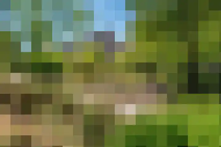 Steenvoordelaan 150 Rijswijk thumbnail 30