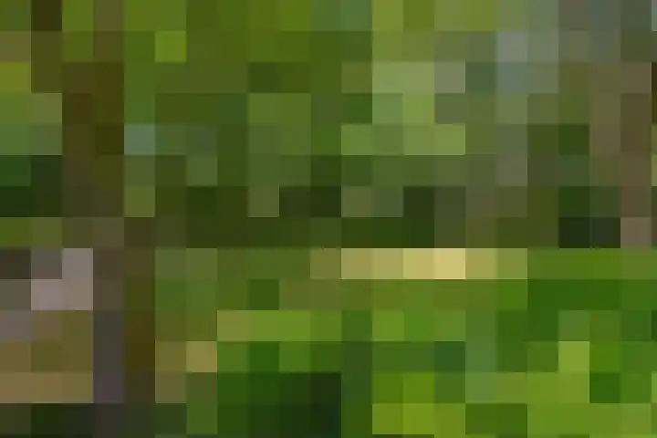 Steenvoordelaan 150 Rijswijk thumbnail 31