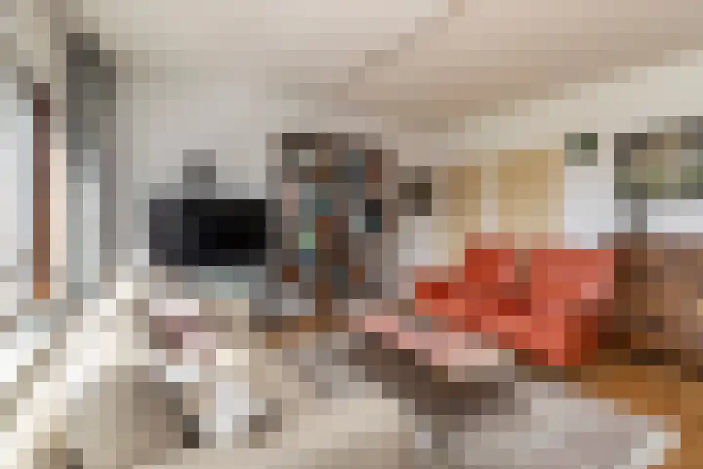 Steenvoordelaan 157 Rijswijk thumbnail 11