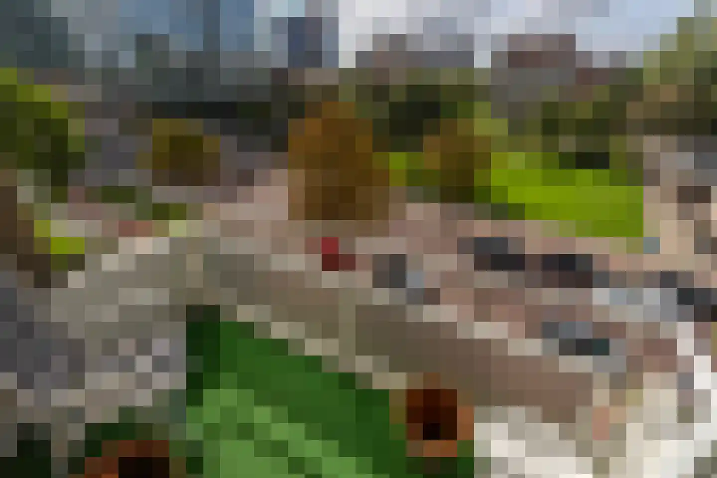 Steenvoordelaan 157 Rijswijk thumbnail 15