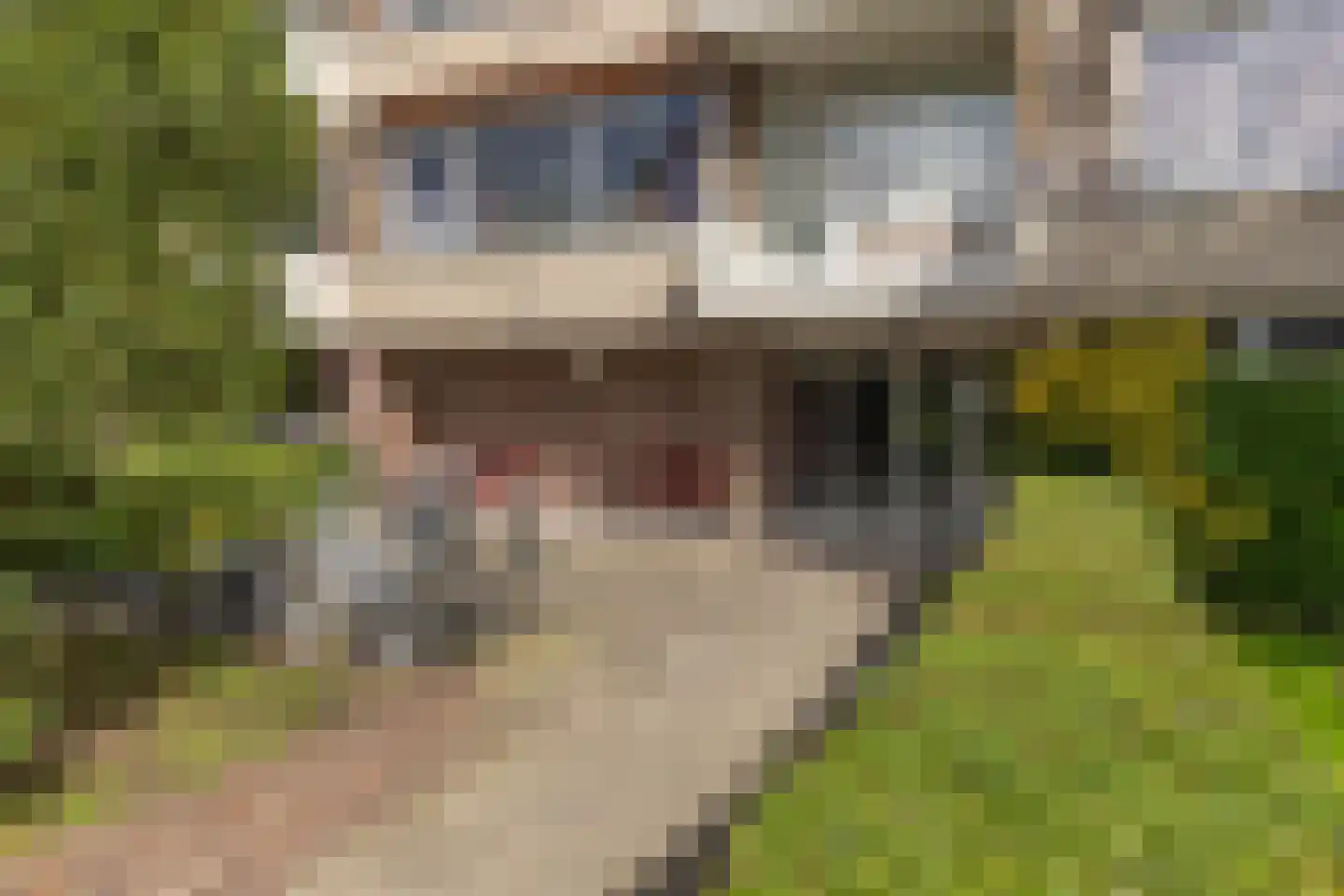 Steenvoordelaan 157 Rijswijk thumbnail 25