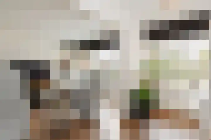 Steenvoordelaan 170 Rijswijk thumbnail 10