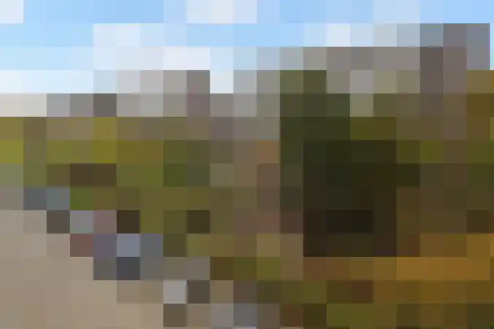 Steenvoordelaan 170 Rijswijk thumbnail 15