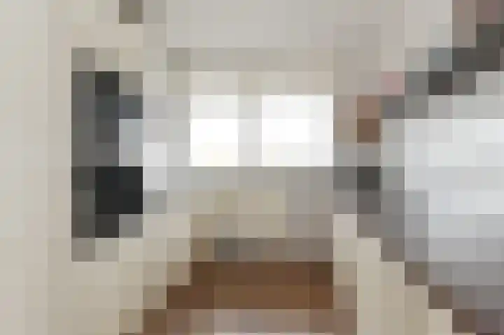 Steenvoordelaan 170 Rijswijk thumbnail 18