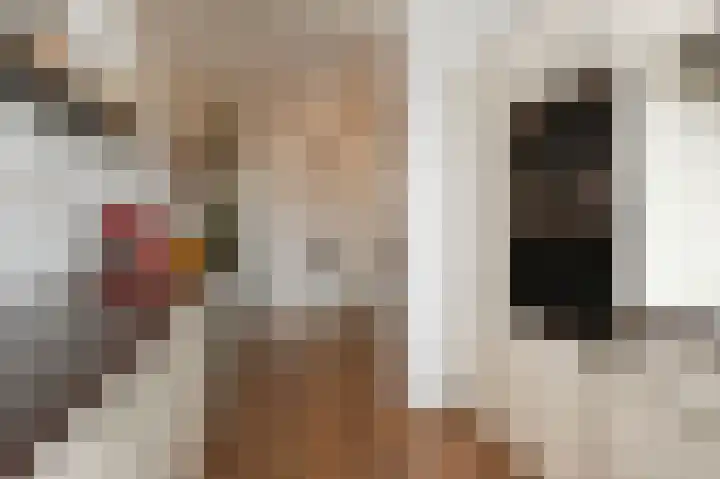 Steenvoordelaan 170 Rijswijk thumbnail 20