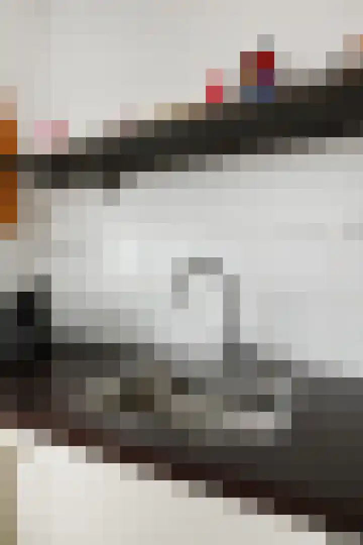 Steenvoordelaan 170 Rijswijk thumbnail 22