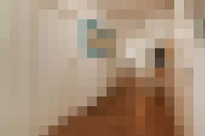 Steenvoordelaan 170 Rijswijk thumbnail 27