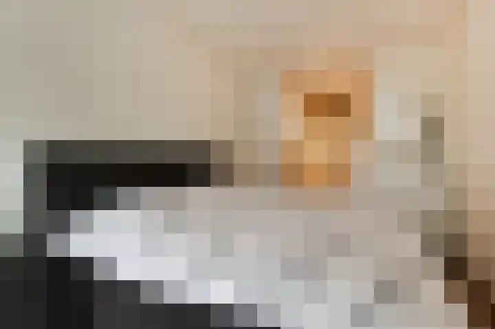 Steenvoordelaan 170 Rijswijk thumbnail 31