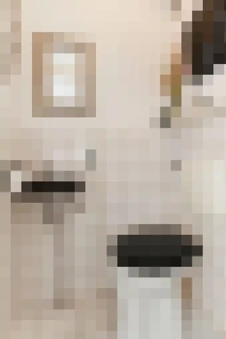 Steenvoordelaan 170 Rijswijk thumbnail 36
