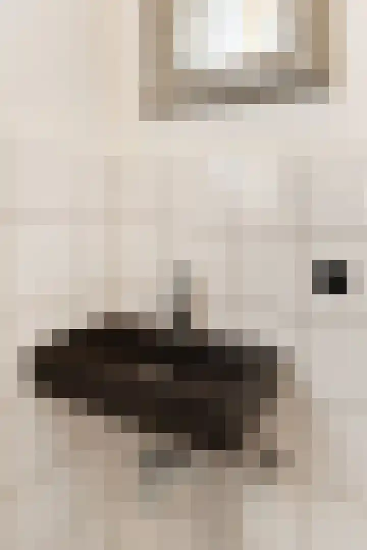 Steenvoordelaan 170 Rijswijk thumbnail 37