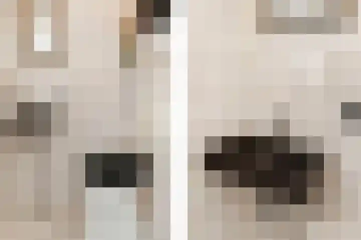 Steenvoordelaan 170 Rijswijk thumbnail 38