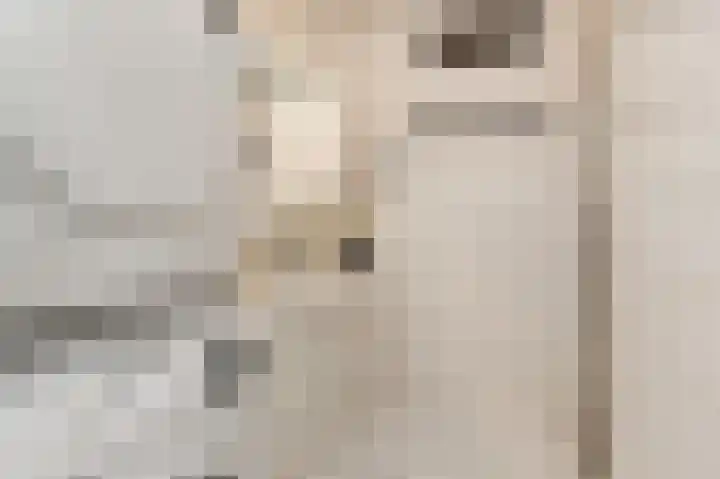 Steenvoordelaan 170 Rijswijk thumbnail 39