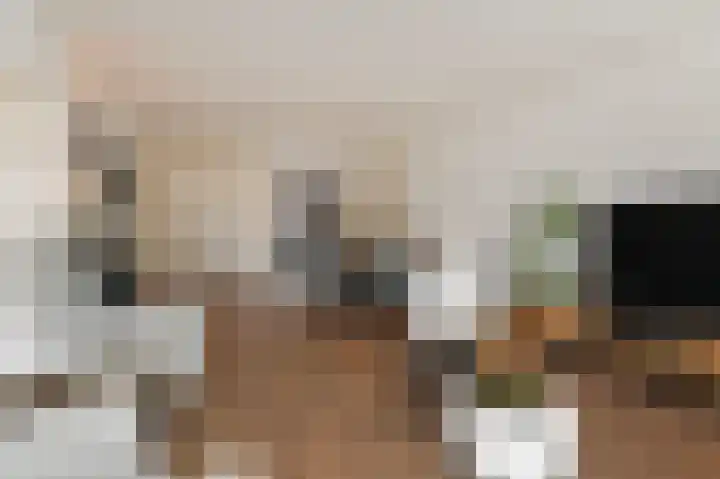 Steenvoordelaan 170 Rijswijk thumbnail 4