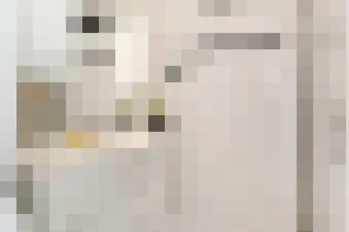 Steenvoordelaan 170 Rijswijk thumbnail 40