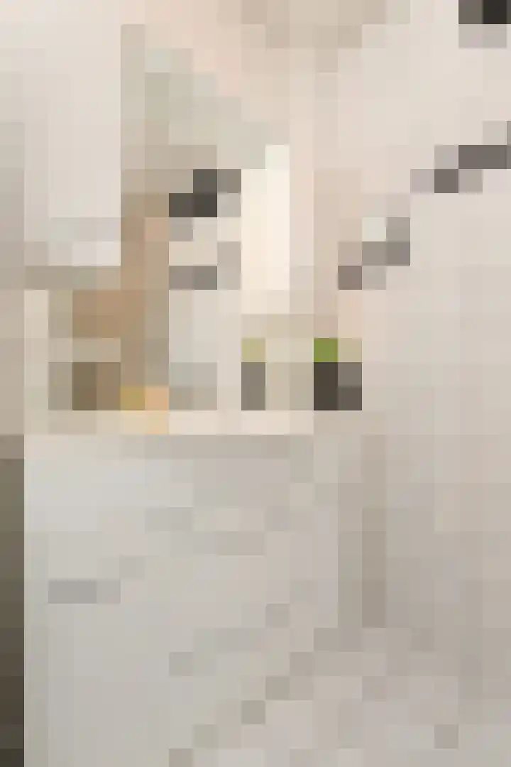 Steenvoordelaan 170 Rijswijk thumbnail 42