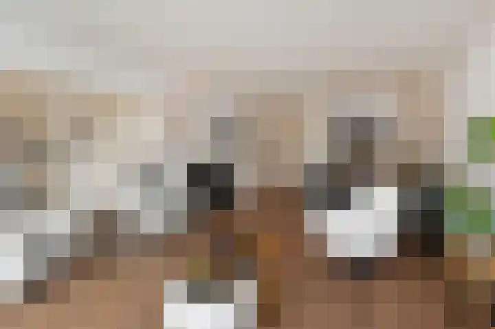 Steenvoordelaan 170 Rijswijk thumbnail 5