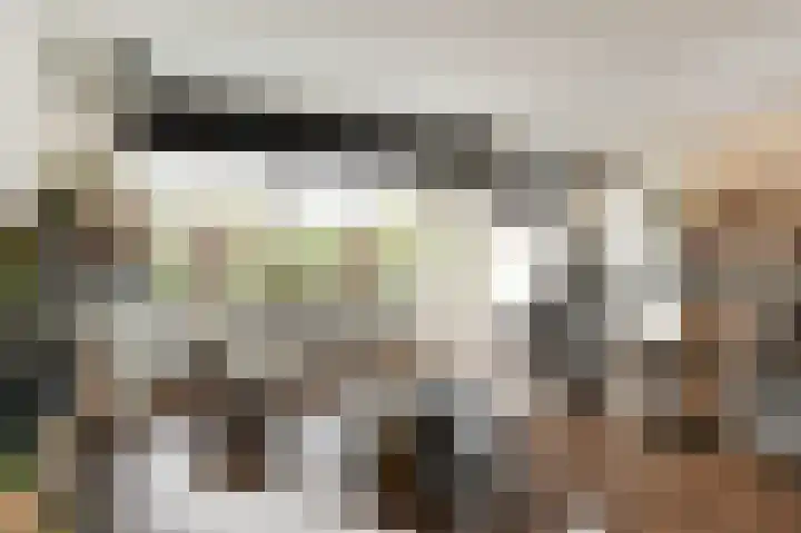 Steenvoordelaan 170 Rijswijk thumbnail 7