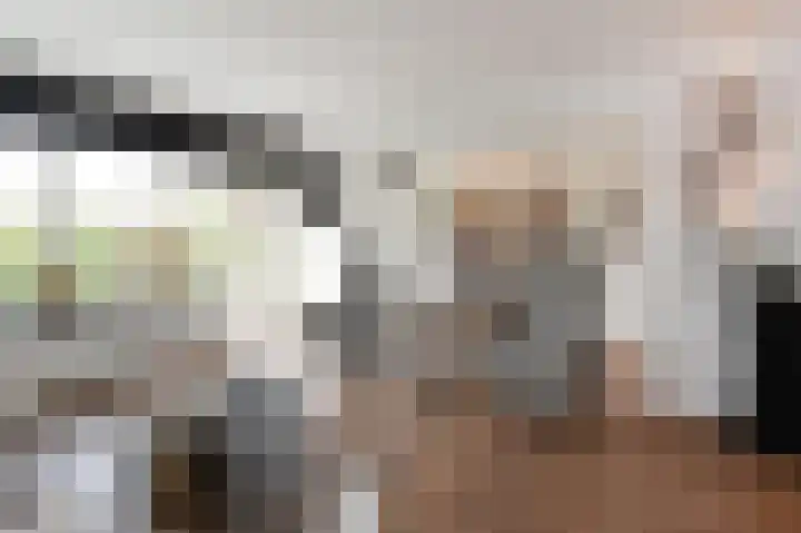 Steenvoordelaan 170 Rijswijk thumbnail 8