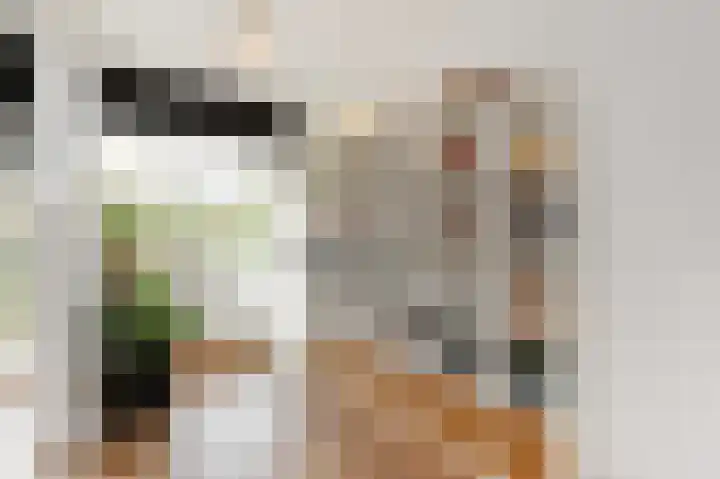 Steenvoordelaan 170 Rijswijk thumbnail 9