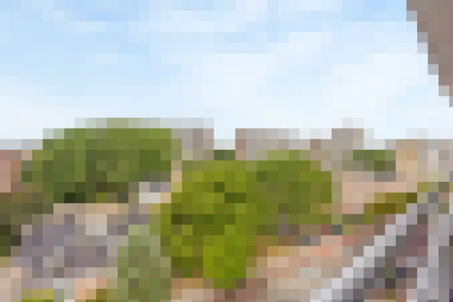 Steenvoordelaan 189 Rijswijk thumbnail 10