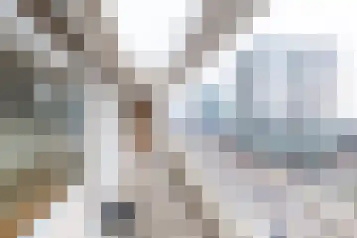 Steenvoordelaan 197 Rijswijk thumbnail 13