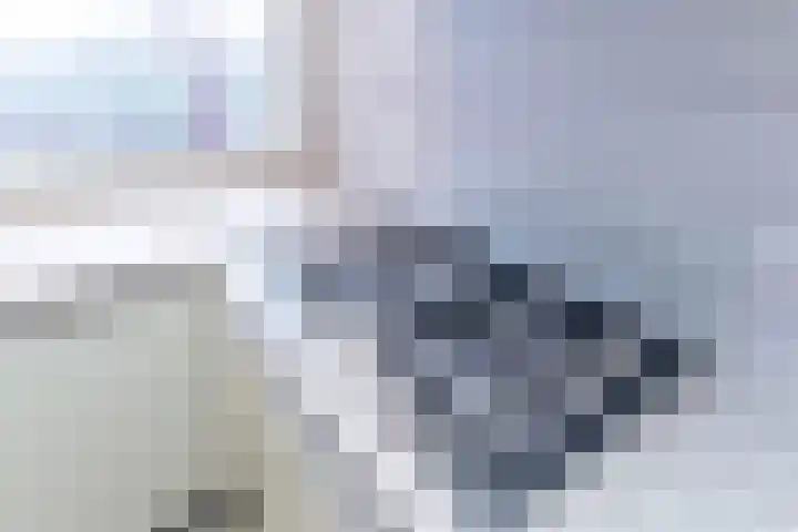 Steenvoordelaan 197 Rijswijk thumbnail 17