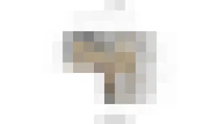 Steenvoordelaan 197 Rijswijk thumbnail 30