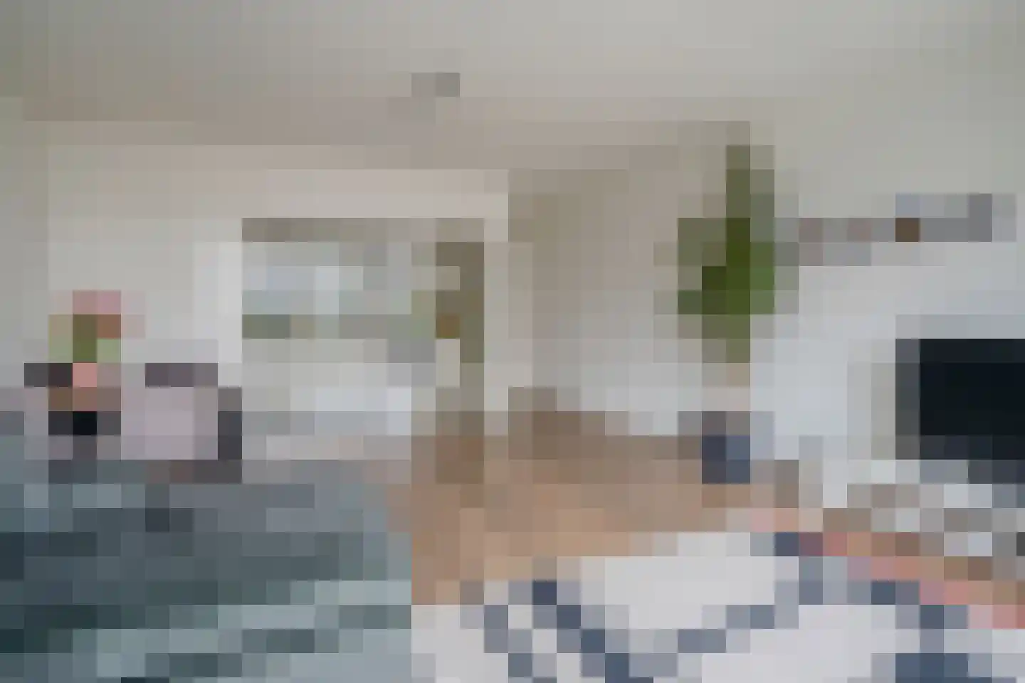 Steenvoordelaan 240 Rijswijk thumbnail 10