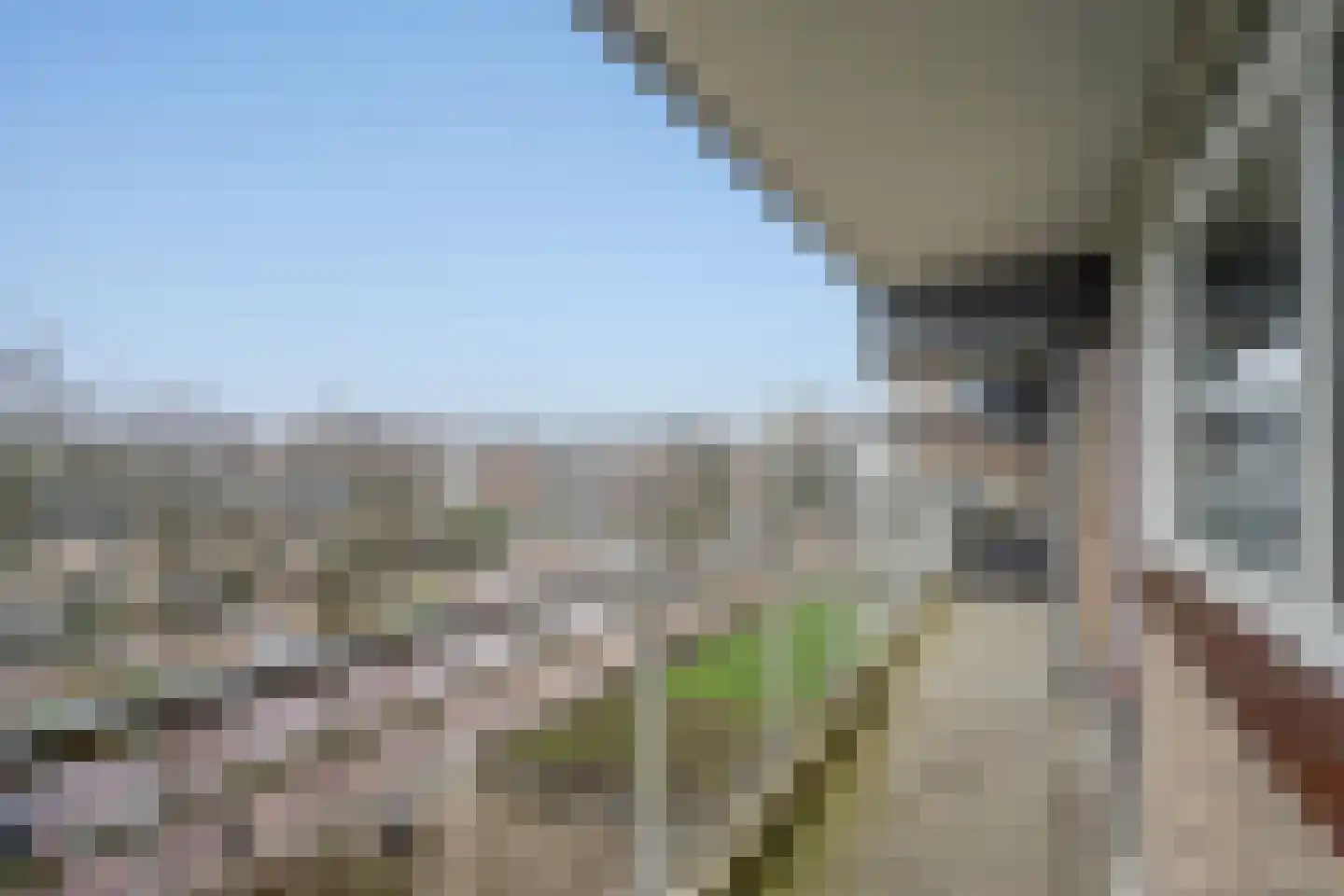Steenvoordelaan 240 Rijswijk thumbnail 7