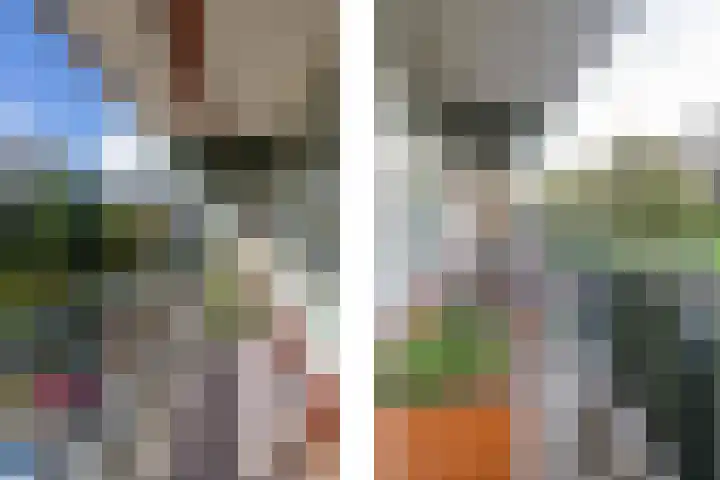 Steenvoordelaan 242 Rijswijk thumbnail 12