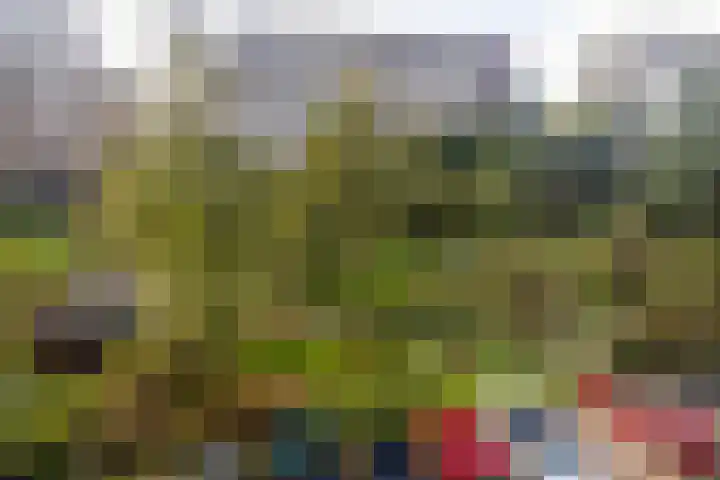 Steenvoordelaan 242 Rijswijk thumbnail 13