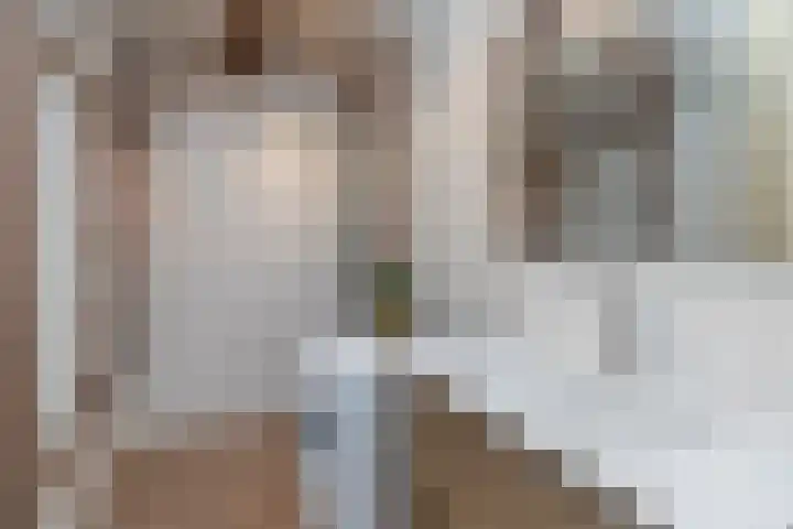 Steenvoordelaan 242 Rijswijk thumbnail 20