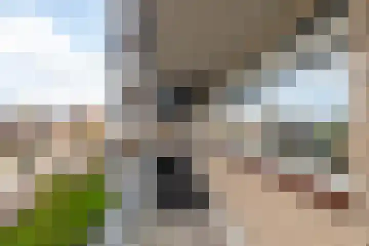 Steenvoordelaan 242 Rijswijk thumbnail 27