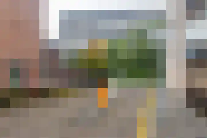 Steenvoordelaan 242 Rijswijk thumbnail 29