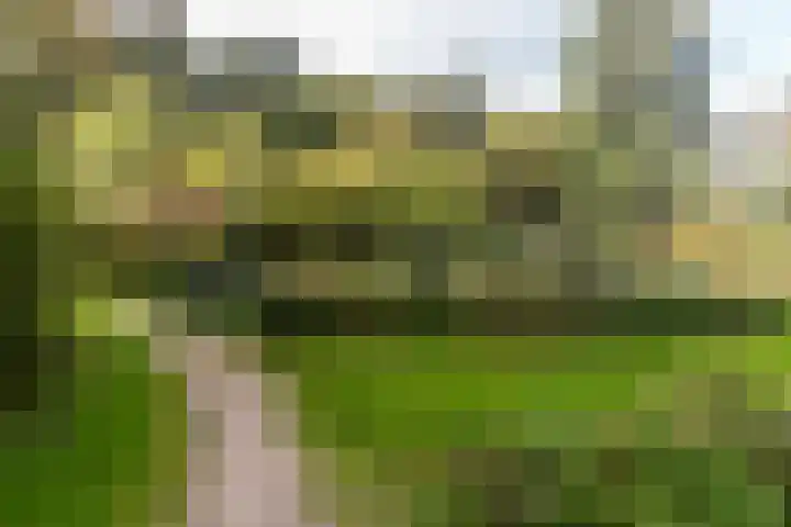 Steenvoordelaan 242 Rijswijk thumbnail 31