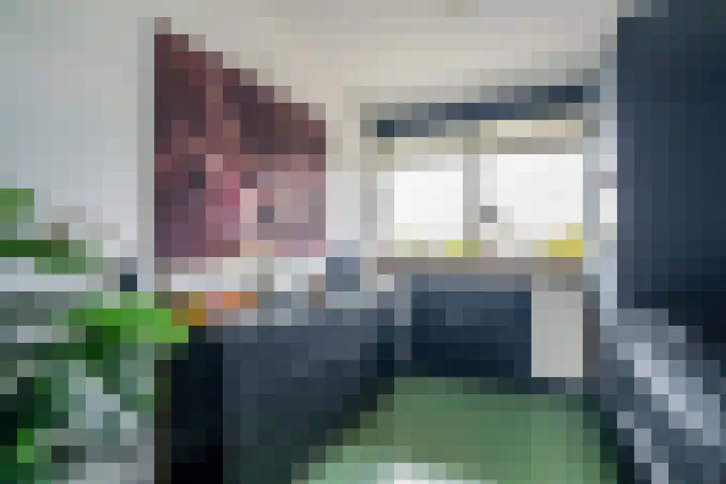 Steenvoordelaan 248 Rijswijk thumbnail 17