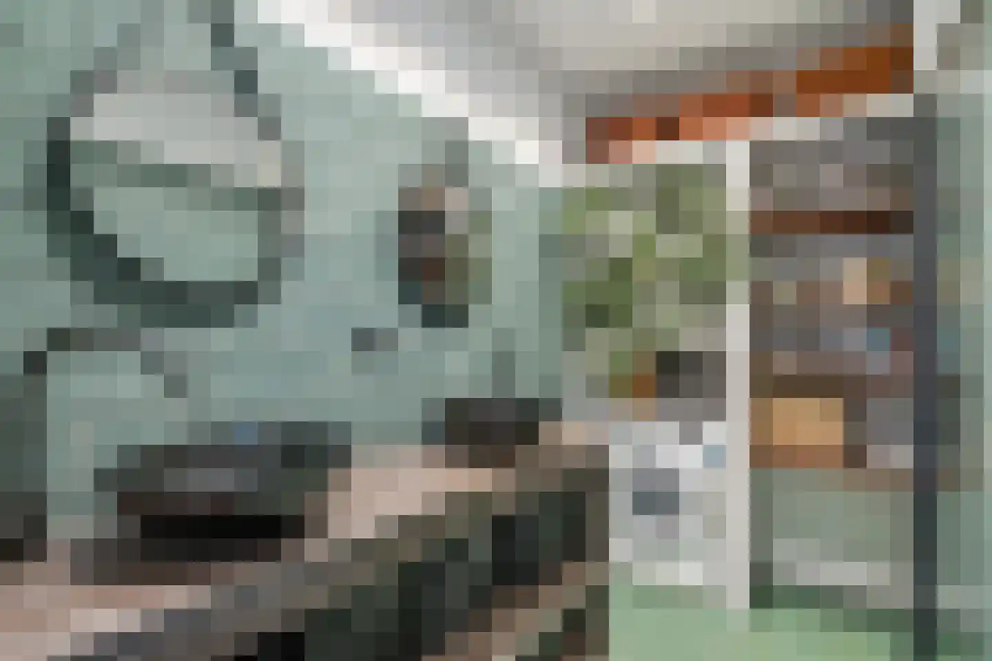 Steenvoordelaan 248 Rijswijk thumbnail 26