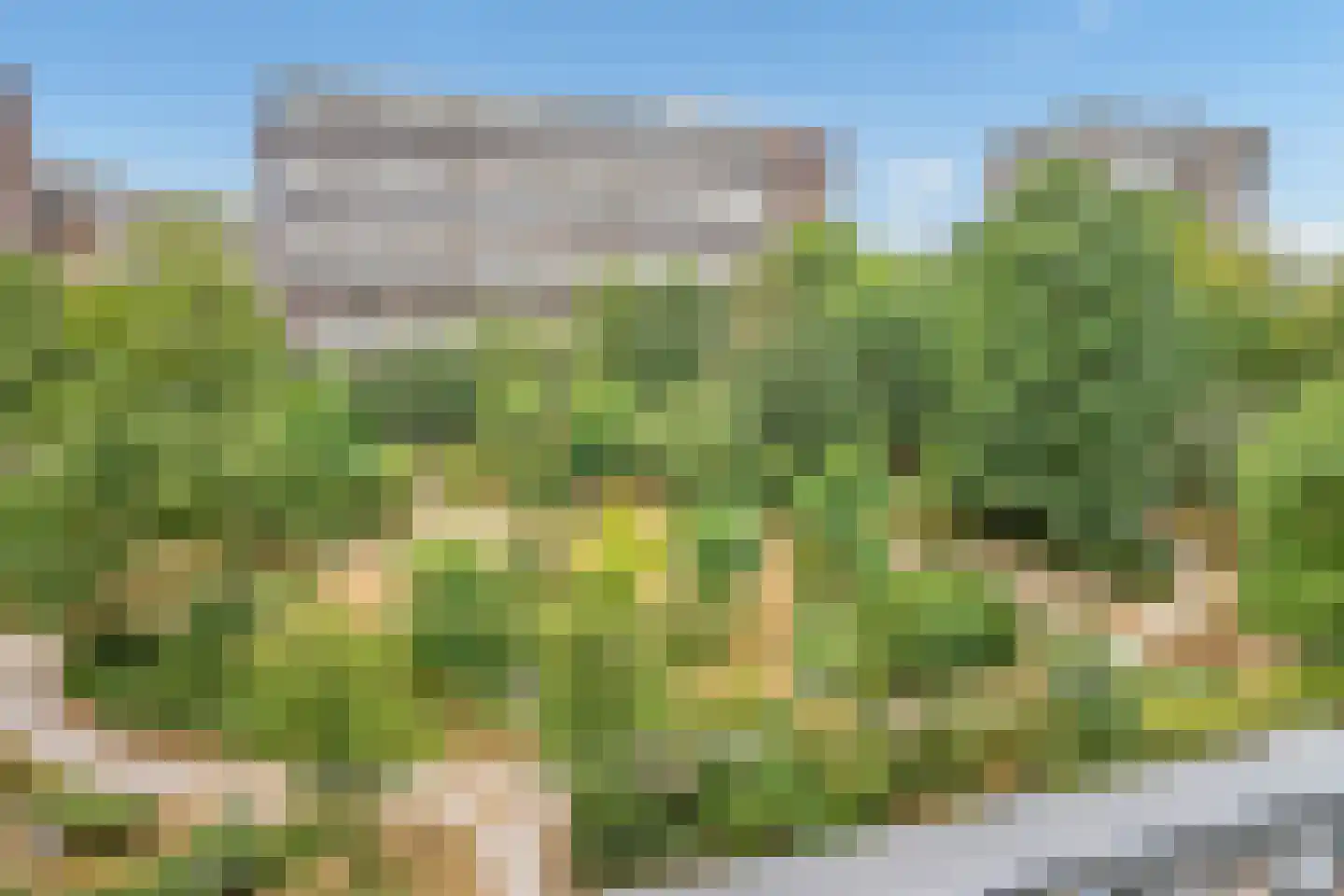 Steenvoordelaan 248 Rijswijk thumbnail 4